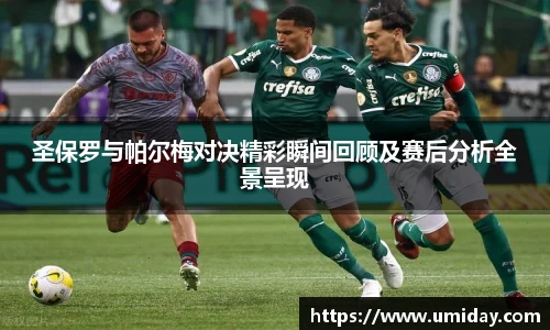 Bwin圣保罗与帕尔梅对决精彩瞬间回顾及赛后分析全景呈现
